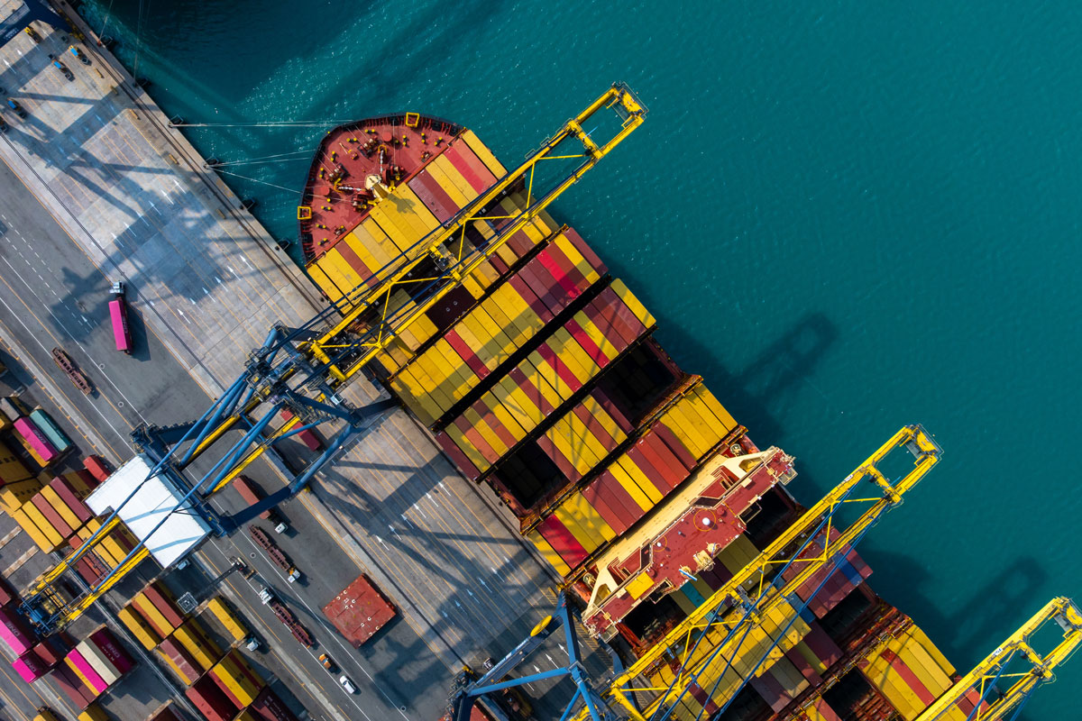 Import H1-H6: dal 13 luglio obbligatoria la versione EUCDM 6.2